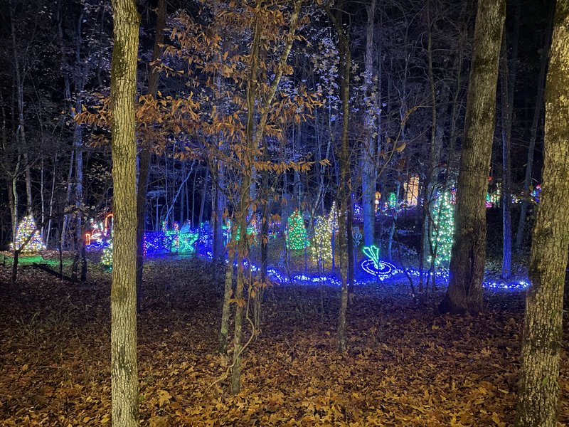 Timber Ridge Adventure Park photo 5