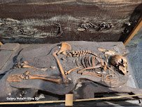 Brevard Museum of History and Natural Science photo 3