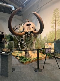 Brevard Museum of History and Natural Science photo 4