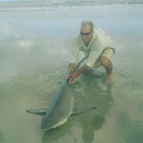 Shark Park NSB-Shark Capital of the World