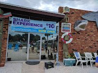 Shark Park NSB-Shark Capital of the World photo 2
