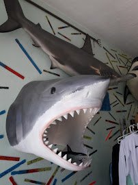Shark Park NSB-Shark Capital of the World photo 3