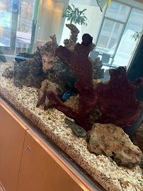 Reliant Aquarium Design Inc. photo 5