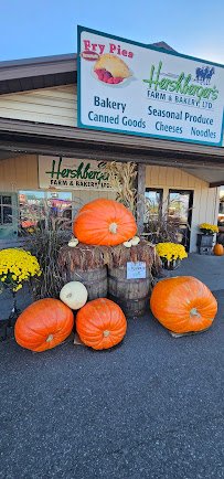 Hershberger's Farm and Bakery photo 6