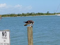 Smithsonian Marine Ecosystems Exhibit photo 3