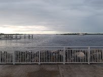 Smithsonian Marine Ecosystems Exhibit photo 4