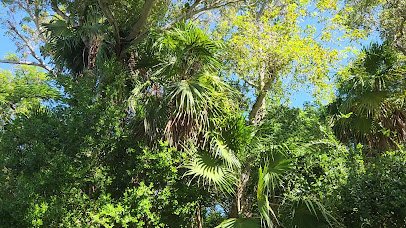 Key West Tropical Forest & Botanical Garden photo 2