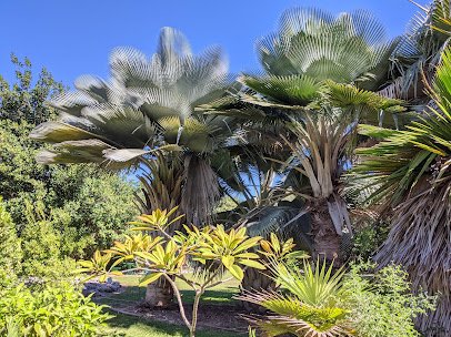 Key West Tropical Forest & Botanical Garden photo 4
