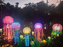 Jungle Island photo 3