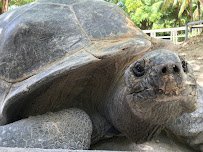 Jungle Island photo 4