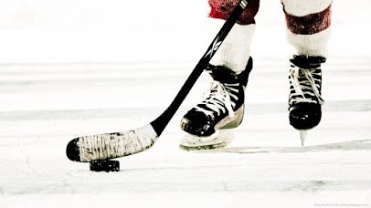 Holland Ice Arena