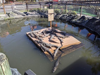 Smugglers Cove Adventure Golf photo 5