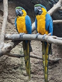 Henry Vilas Zoo photo 5