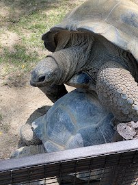 Henry Vilas Zoo photo 6