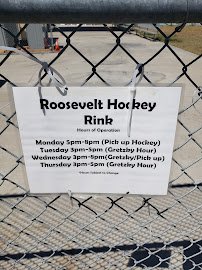 Roosevelt Park Roller Hockey Rink photo 4