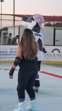Roosevelt Park Roller Hockey Rink photo 5