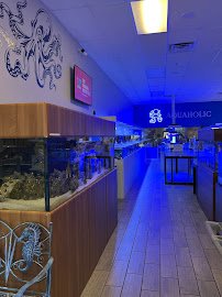 Aquaholic Aquariums LLC photo 2