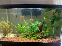 Aquaholic Aquariums LLC photo 5