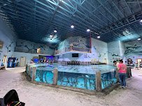 Houston Interactive Aquarium & Animal Preserve photo 3