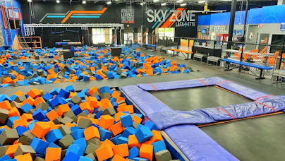 Sky Zone Trampoline Park photo 3