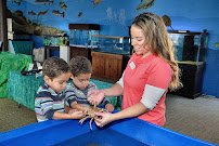 Glen Echo Park Aquarium