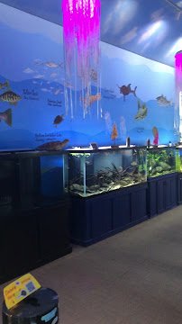 Glen Echo Park Aquarium photo 2