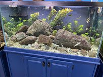 Glen Echo Park Aquarium photo 4