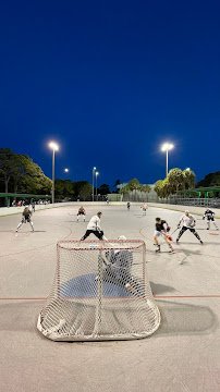 Roller Hockey Rink photo 3