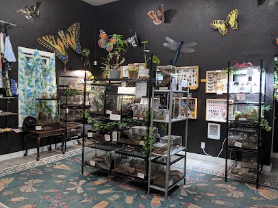 Portland Insectarium photo 5