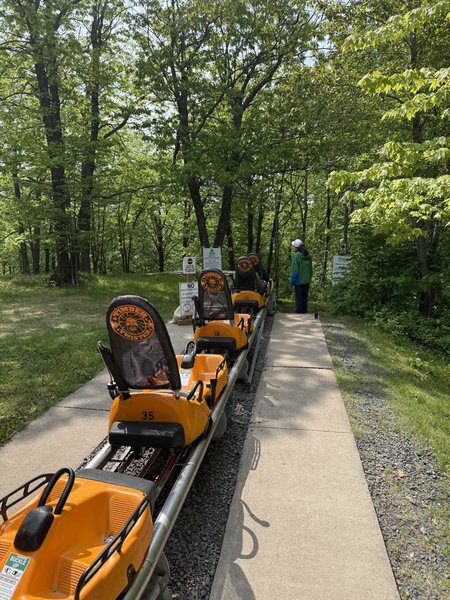 Spirit Mountain Adventure Park & Winter Snow Tubing photo 3