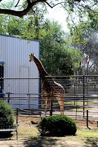 Hillcrest Park Zoo photo 3