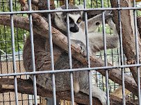 Hillcrest Park Zoo photo 5