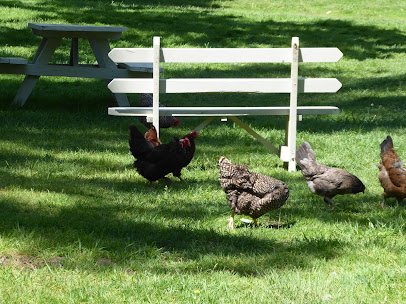 New Hampshire Farm Museum photo 3