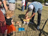 Oba Farms Mobile Petting Zoo photo 4