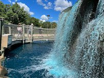 Congo River Golf & Exploration Co. photo 6
