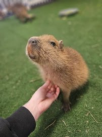 Wild Haven Animal Experience