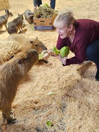 Wild Haven Animal Experience photo 2