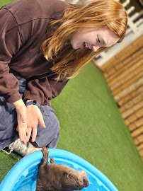 Wild Haven Animal Experience photo 3