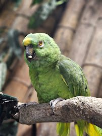 Wild Haven Animal Experience photo 4