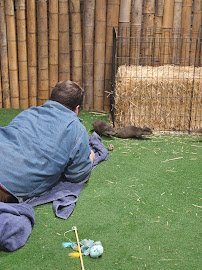 Wild Haven Animal Experience photo 5
