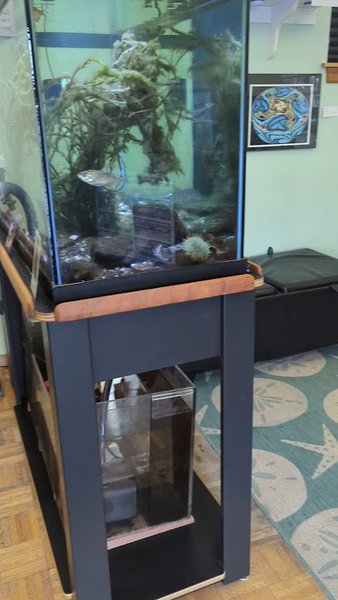 Puget Sound Estuarium photo 2