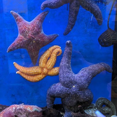 Puget Sound Estuarium photo 3