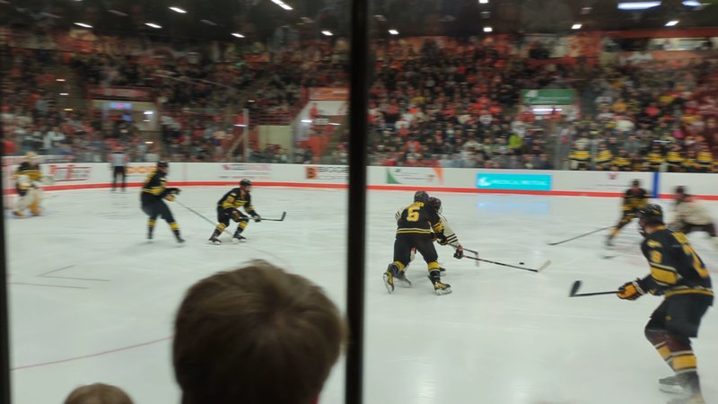 Slater Family Ice Arena photo 2