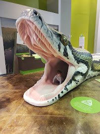 Conservation Action Center