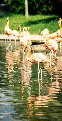 Conservation Action Center photo 4