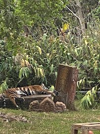 Conservation Action Center photo 5