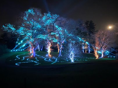 The Morton Arboretum photo 4