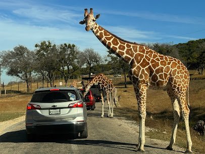 Fossil Rim Wildlife Center photo 3
