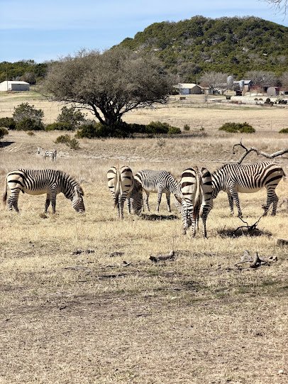 Fossil Rim Wildlife Center photo 4