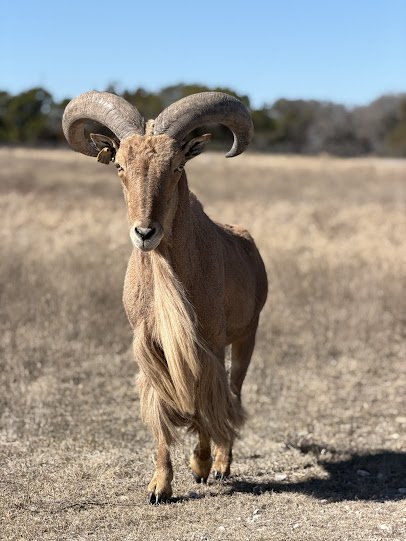 Fossil Rim Wildlife Center photo 6